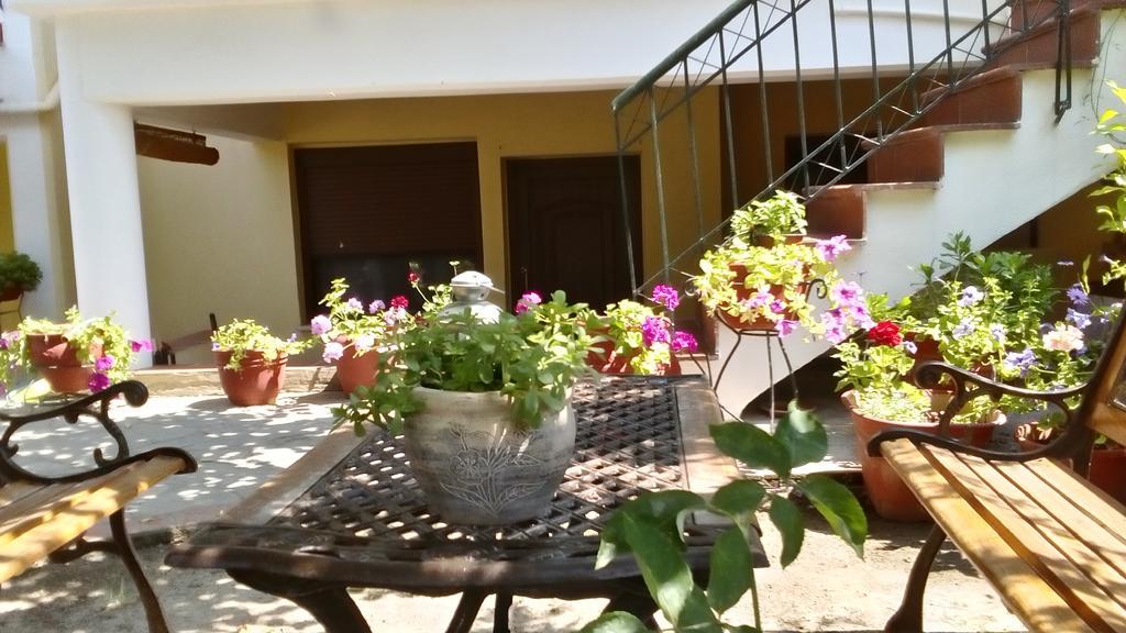 ניקיטי Natalia'S Apartments מראה חיצוני תמונה